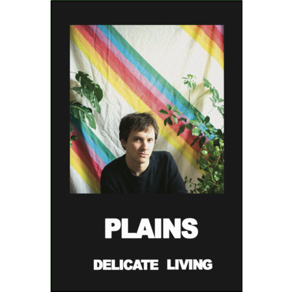 PLAINS - "Delicate Living" (CASS)